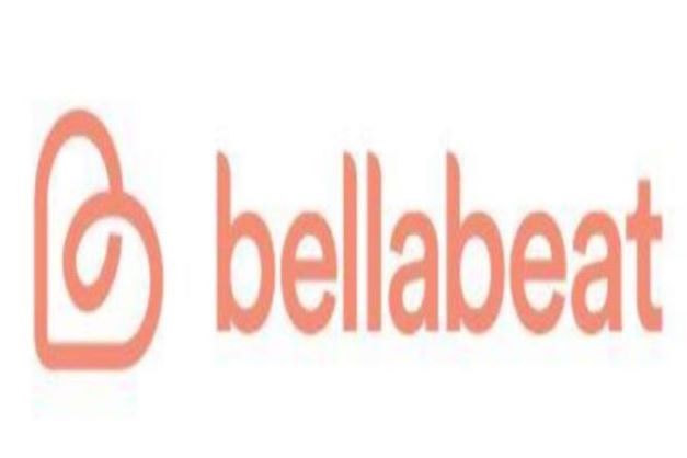 Bellabeat Case Study